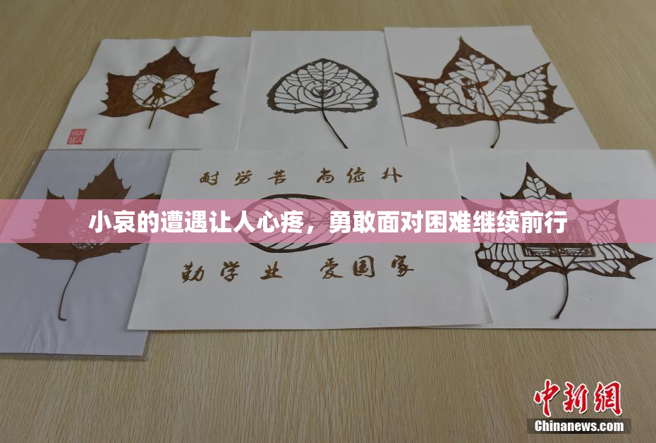 小哀的遭遇让人心疼，勇敢面对困难继续前行