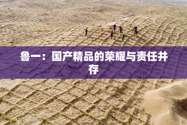 鲁一：国产精品的荣耀与责任并存