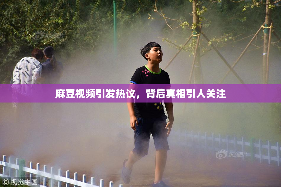 麻豆视频引发热议，背后真相引人关注