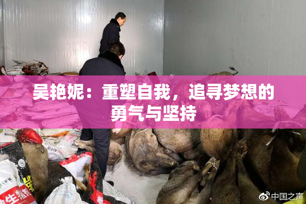 吴艳妮：重塑自我，追寻梦想的勇气与坚持