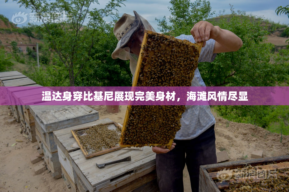 温达身穿比基尼展现完美身材，海滩风情尽显