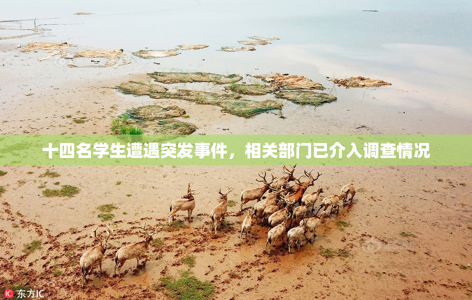 十四名学生遭遇突发事件，相关部门已介入调查情况