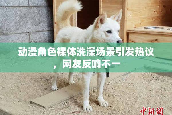 动漫角色裸体洗澡场景引发热议，网友反响不一