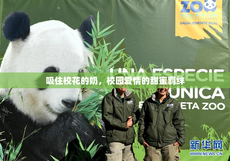 吸住校花的奶，校园爱情的甜蜜羁绊