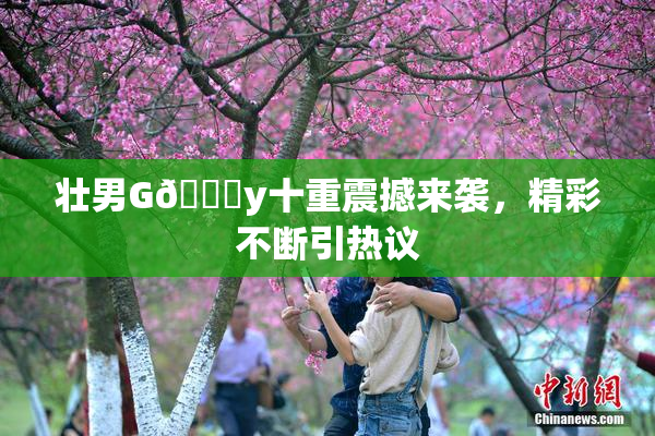 壮男G🈚y十重震撼来袭，精彩不断引热议