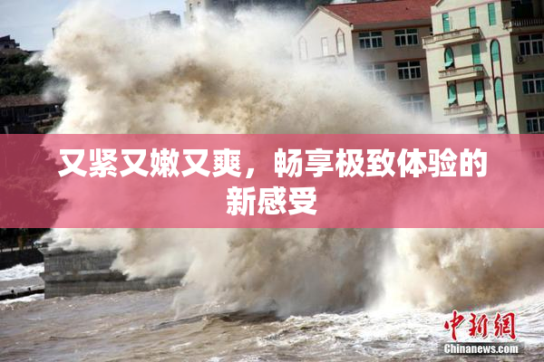又紧又嫩又爽，畅享极致体验的新感受