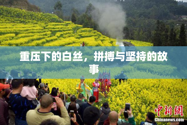 重压下的白丝，拼搏与坚持的故事