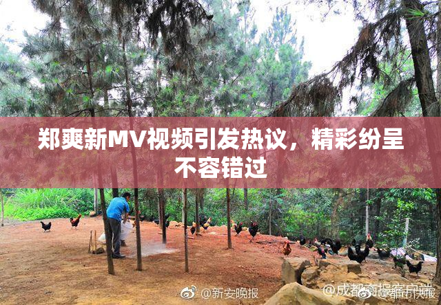 郑爽新MV视频引发热议，精彩纷呈不容错过