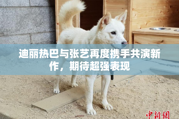 迪丽热巴与张艺再度携手共演新作，期待超强表现