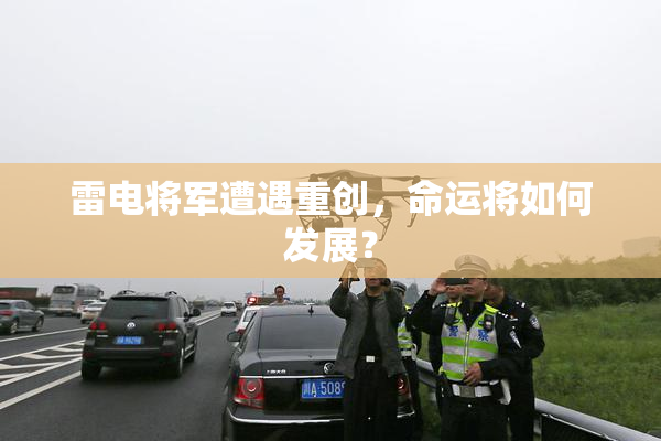 雷电将军遭遇重创，命运将如何发展？