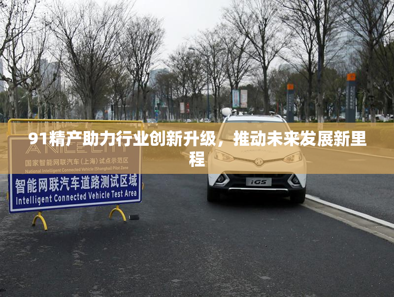 91精产助力行业创新升级，推动未来发展新里程