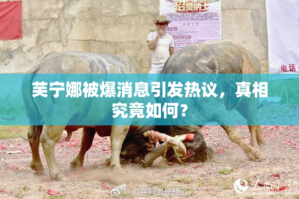 芙宁娜被爆消息引发热议，真相究竟如何？