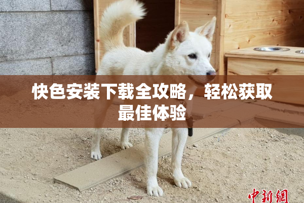 快色安装下载全攻略，轻松获取最佳体验
