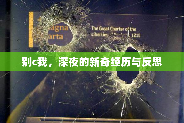 别c我，深夜的新奇经历与反思