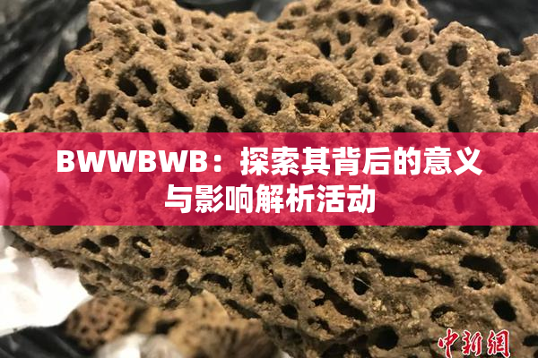 BWWBWB：探索其背后的意义与影响解析活动
