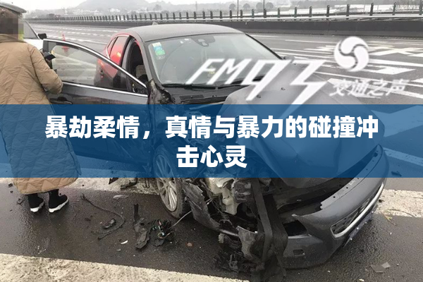 暴劫柔情，真情与暴力的碰撞冲击心灵