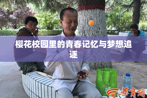 樱花校园里的青春记忆与梦想追逐