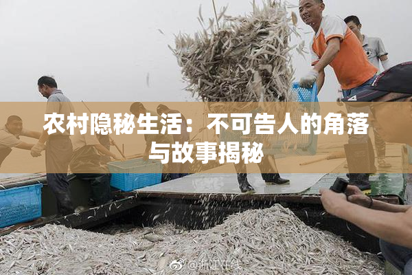 农村隐秘生活：不可告人的角落与故事揭秘
