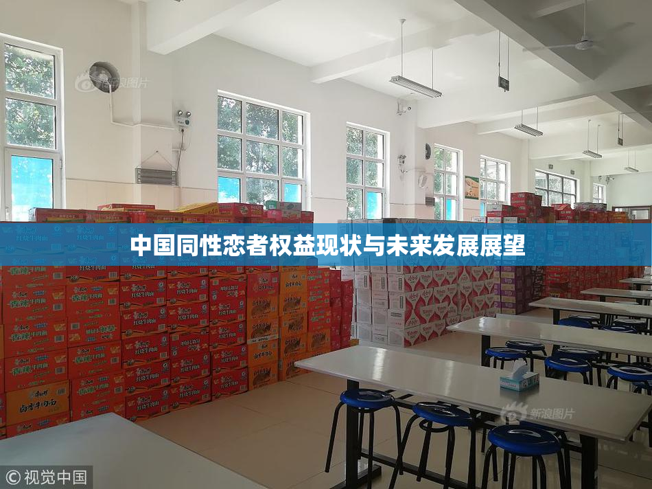 中国同性恋者权益现状与未来发展展望