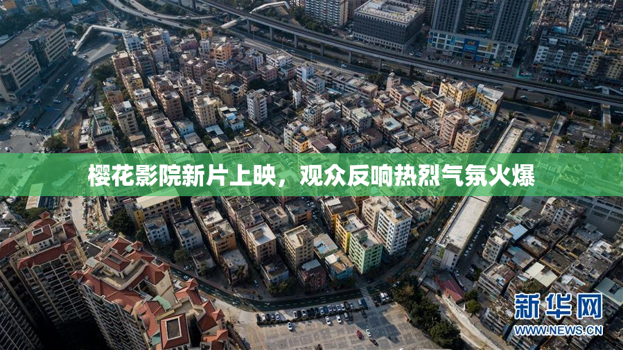 樱花影院新片上映，观众反响热烈气氛火爆