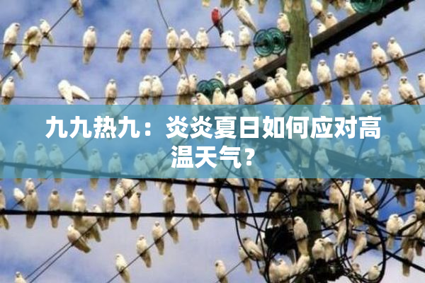 九九热九：炎炎夏日如何应对高温天气？