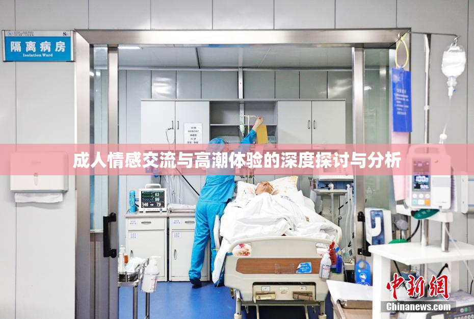成人情感交流与高潮体验的深度探讨与分析