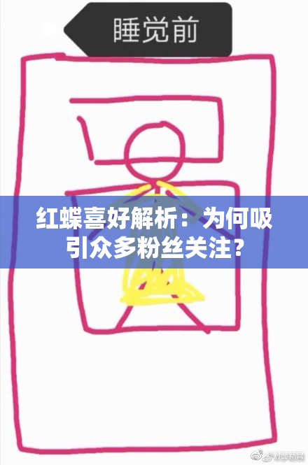 红蝶喜好解析：为何吸引众多粉丝关注？