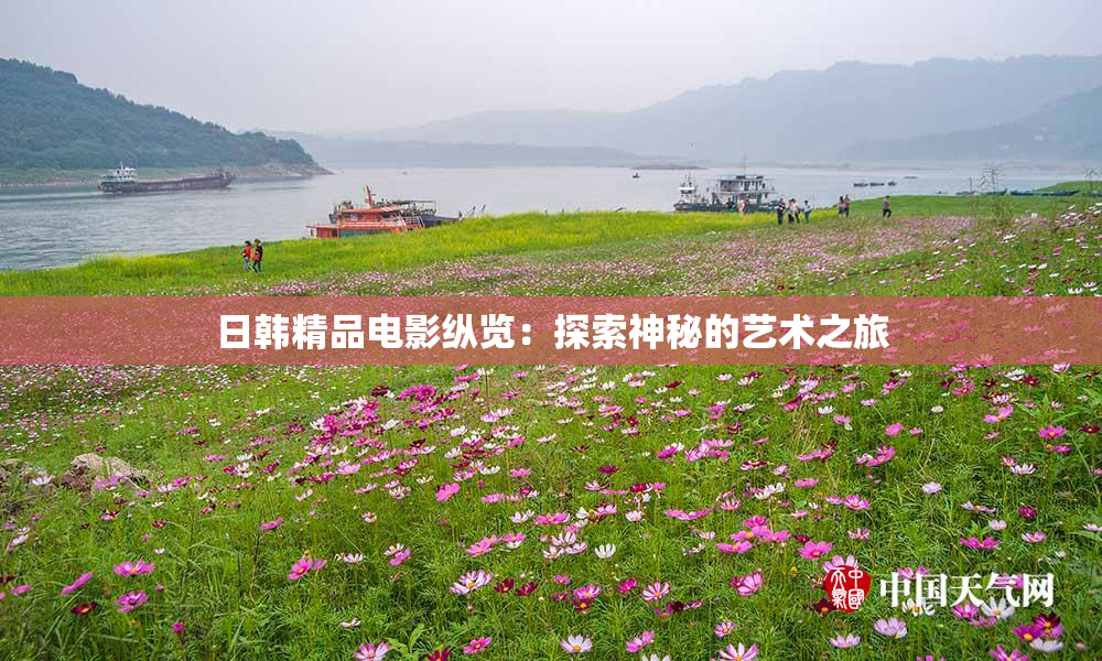 日韩精品电影纵览：探索神秘的艺术之旅