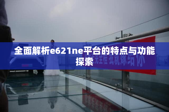全面解析e621ne平台的特点与功能探索