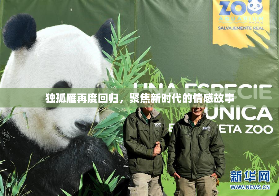独孤雁再度回归，聚焦新时代的情感故事