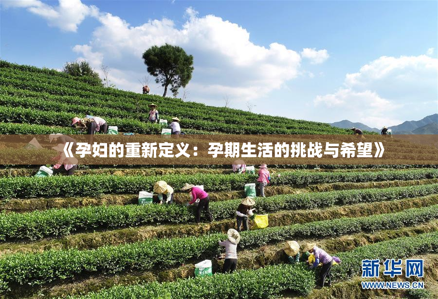 《孕妇的重新定义：孕期生活的挑战与希望》