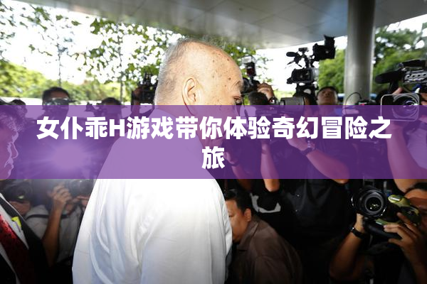 女仆乖H游戏带你体验奇幻冒险之旅