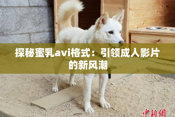 探秘蜜乳avi格式：引领成人影片的新风潮