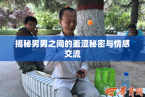揭秘男男之间的羞涩秘密与情感交流