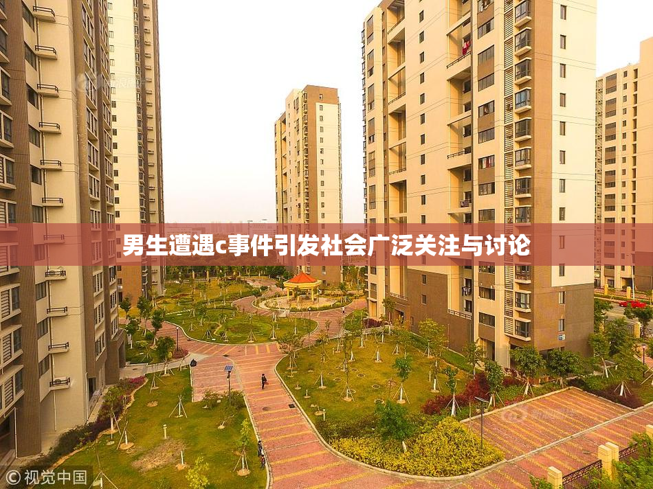 男生遭遇c事件引发社会广泛关注与讨论