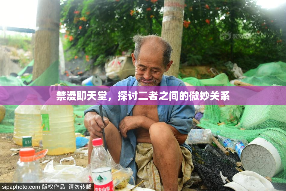 禁漫即天堂，探讨二者之间的微妙关系