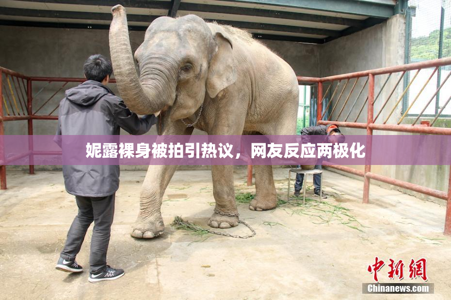 妮露裸身被拍引热议，网友反应两极化