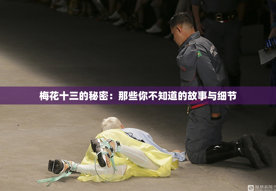 梅花十三的秘密：那些你不知道的故事与细节