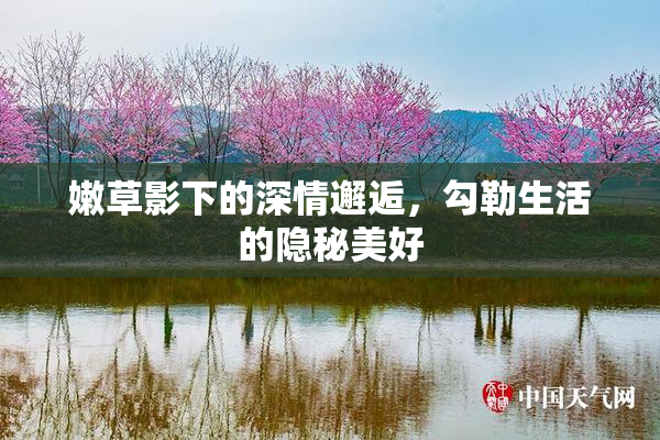 嫩草影下的深情邂逅，勾勒生活的隐秘美好