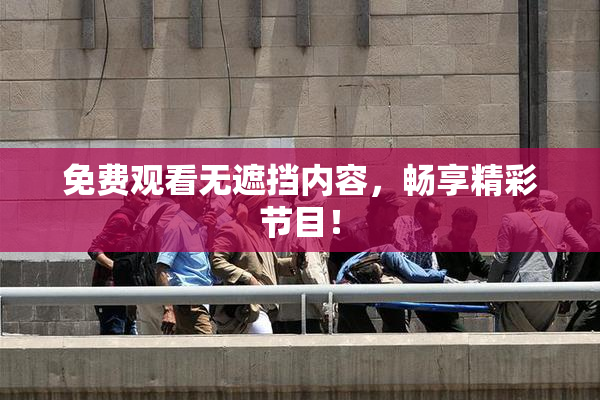 免费观看无遮挡内容，畅享精彩节目！