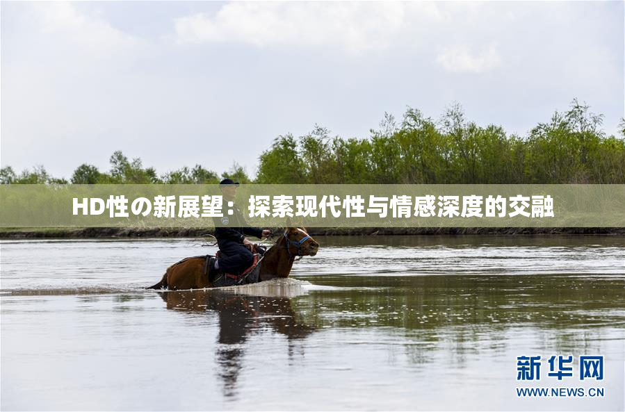 HD性の新展望：探索现代性与情感深度的交融