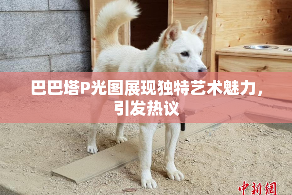 巴巴塔P光图展现独特艺术魅力，引发热议