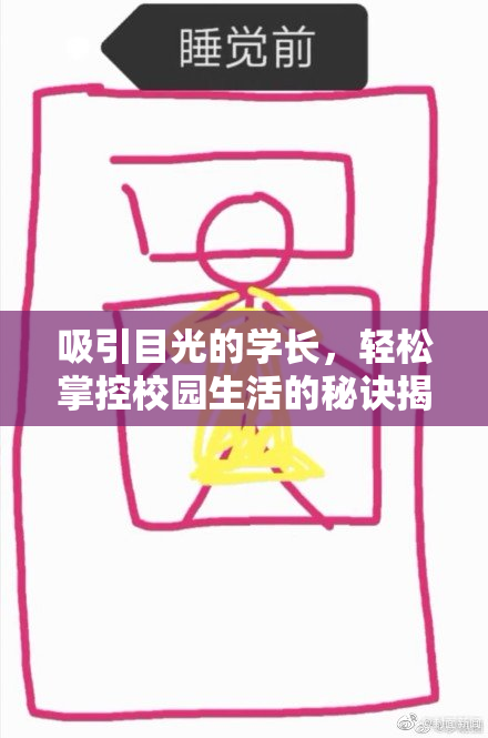 吸引目光的学长，轻松掌控校园生活的秘诀揭秘！