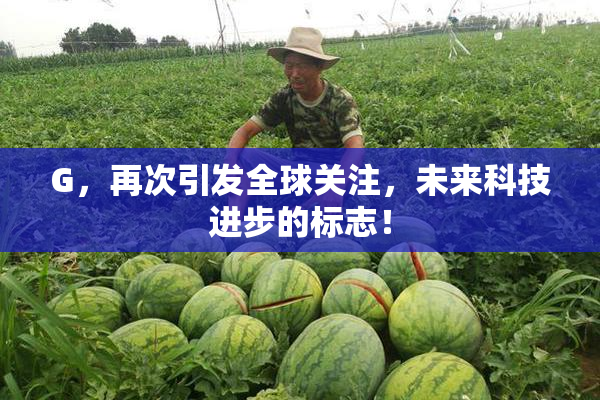 G，再次引发全球关注，未来科技进步的标志！