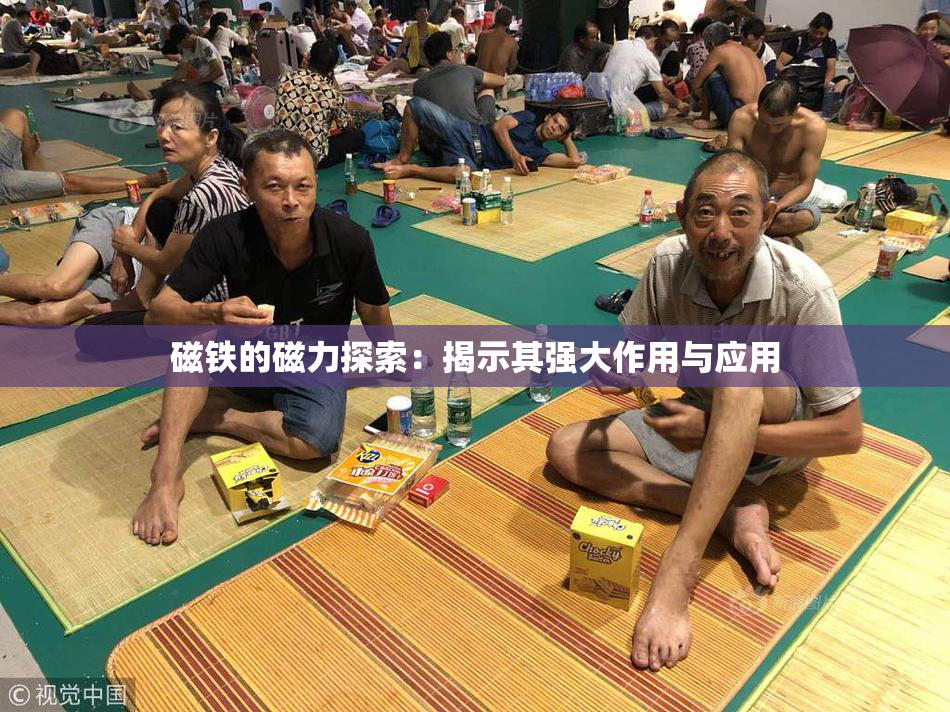 磁铁的磁力探索：揭示其强大作用与应用