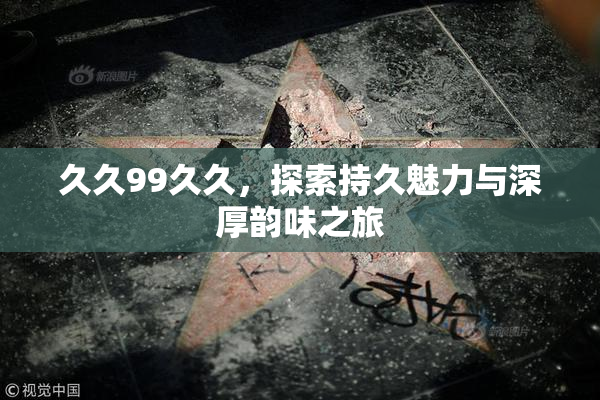 久久99久久，探索持久魅力与深厚韵味之旅