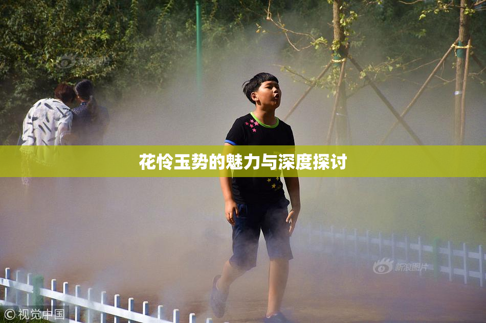 花怜玉势的魅力与深度探讨