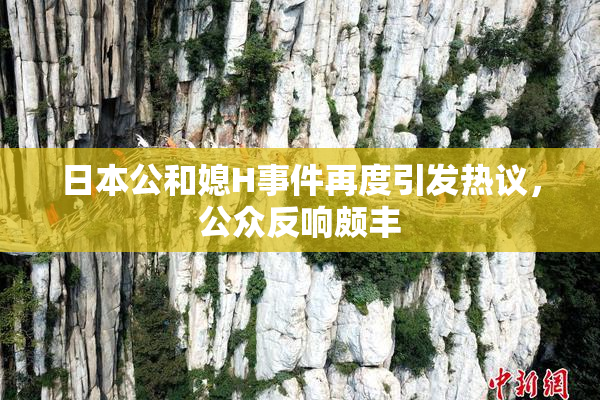 日本公和媳H事件再度引发热议，公众反响颇丰