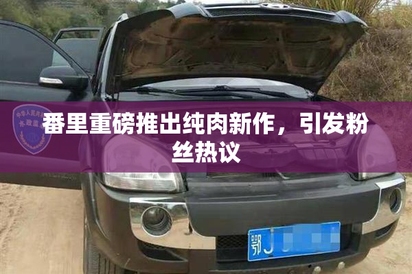 番里重磅推出纯肉新作，引发粉丝热议