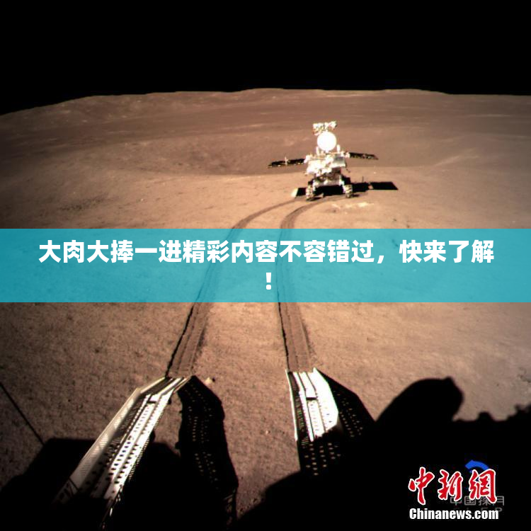 大肉大捧一进精彩内容不容错过，快来了解！